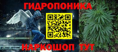 эйфоретик Волжский