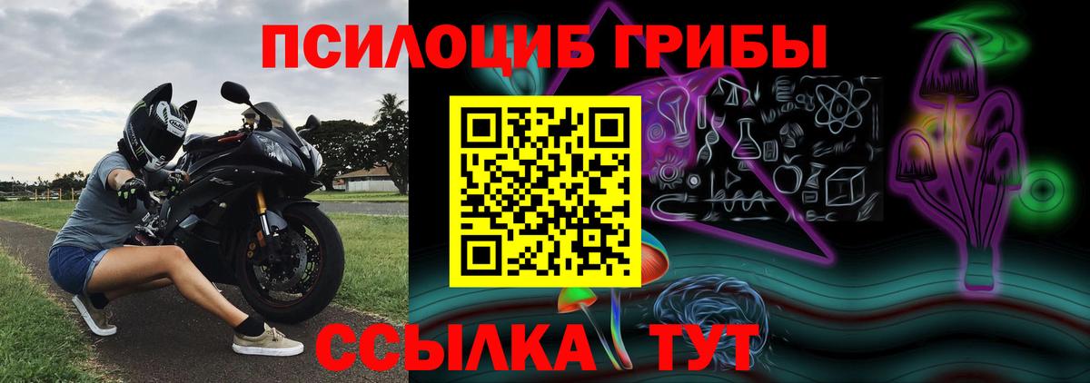 Семилуки  Псилоцибиновые грибы прущие грибы  Вход с VPN 